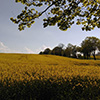 Sonne satt und blühende Natur im Mai 2016!