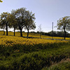 Sonne satt und blühende Natur im Mai 2016!